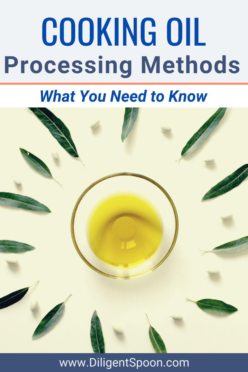 Guide to Cooking Oil Processing Methods