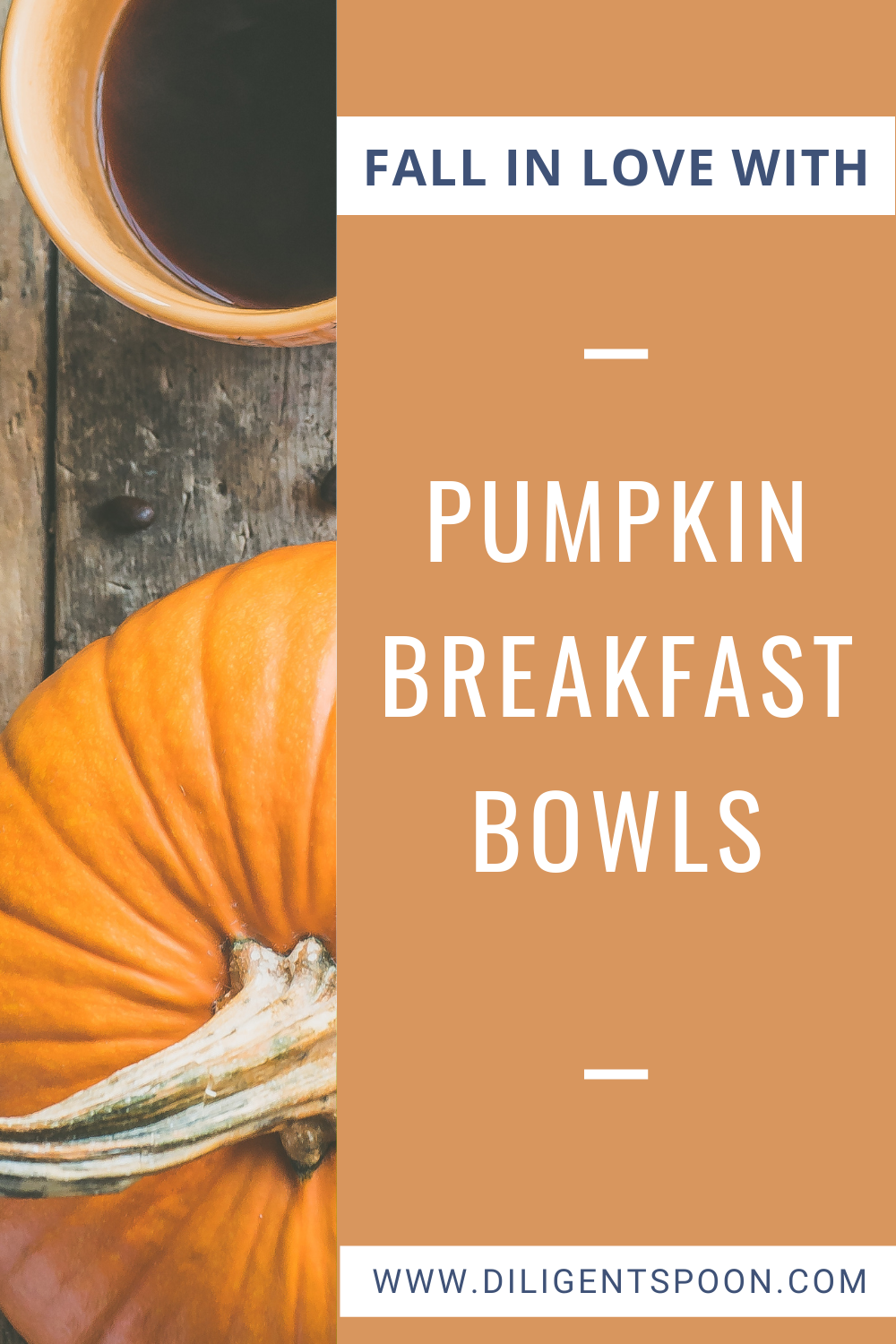 Fall in Love With Pumpkin Breakfast Bowls
